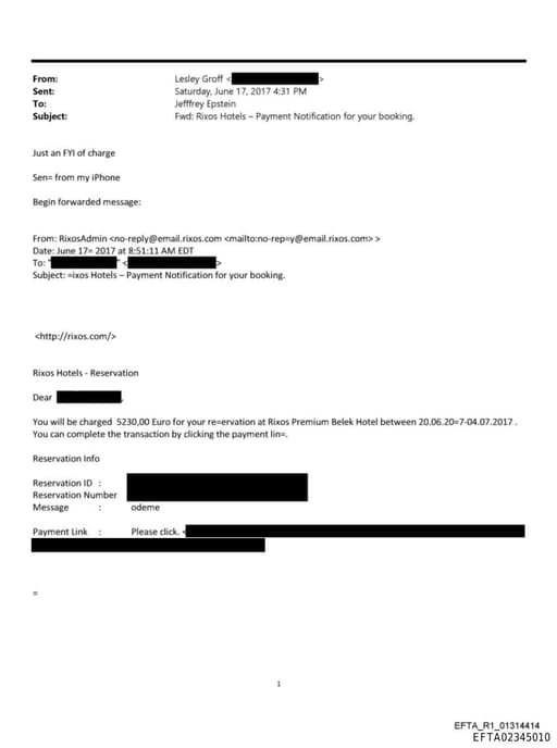 Preview of EFTA02345010