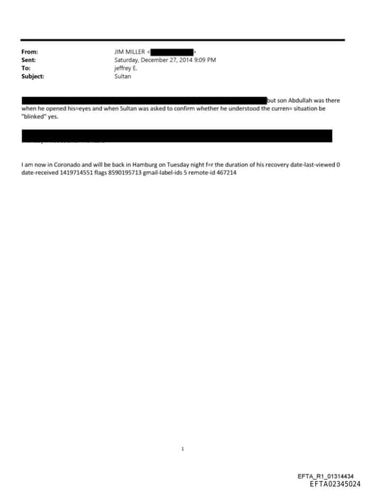 Preview of EFTA02345024