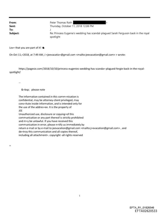 Preview of EFTA02620533