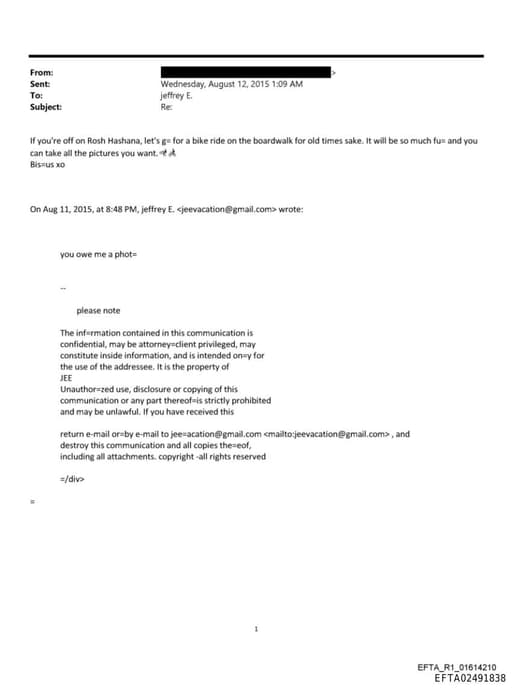 Preview of EFTA02491838