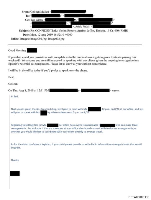 Preview of EFTA00080335