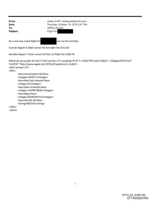 Preview of EFTA02620784