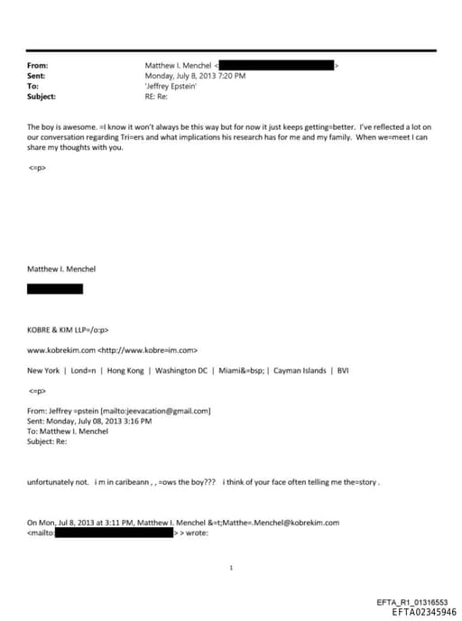 Preview of EFTA02345946