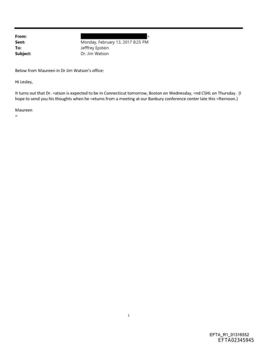 Preview of EFTA02345945