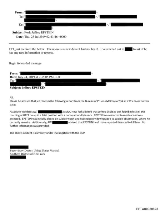 Preview of EFTA00080828