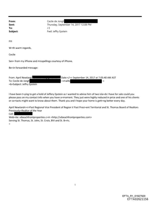 Preview of EFTA02621156