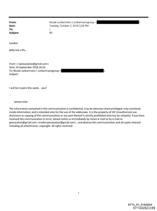 Preview of EFTA02621199