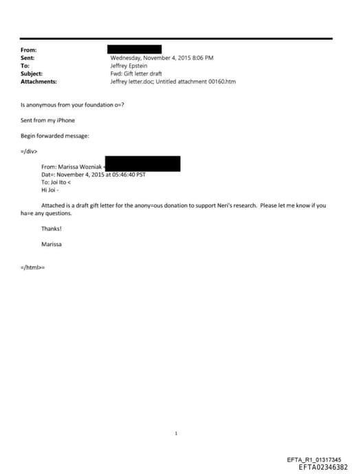 Preview of EFTA02346382