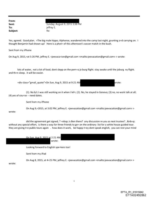 Preview of EFTA02492862