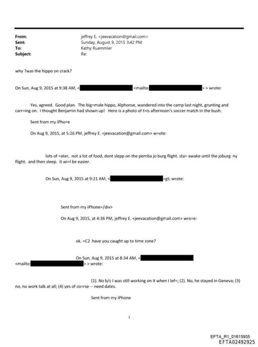 Preview of EFTA02492925