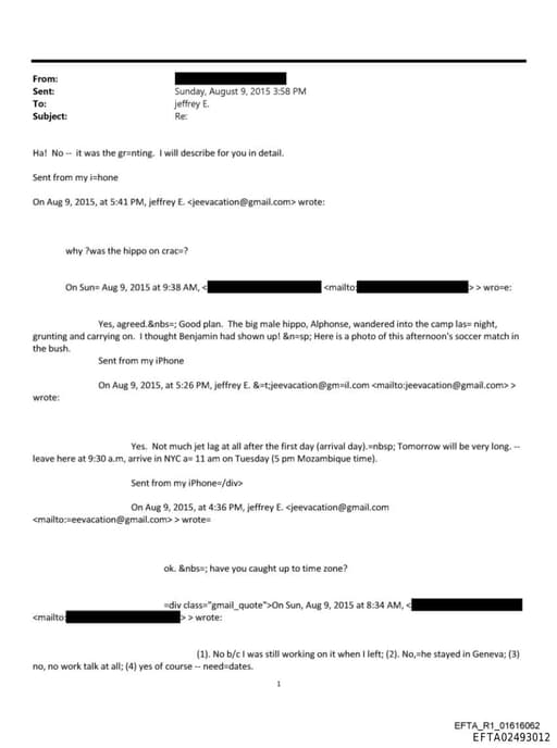 Preview of EFTA02493012