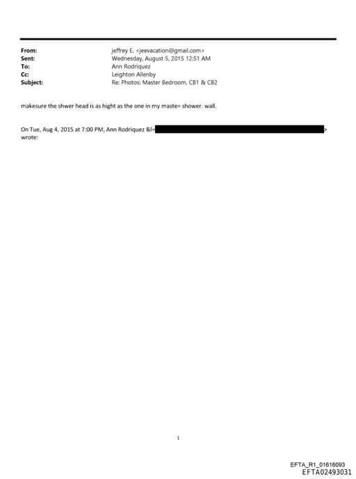 Preview of EFTA02493031