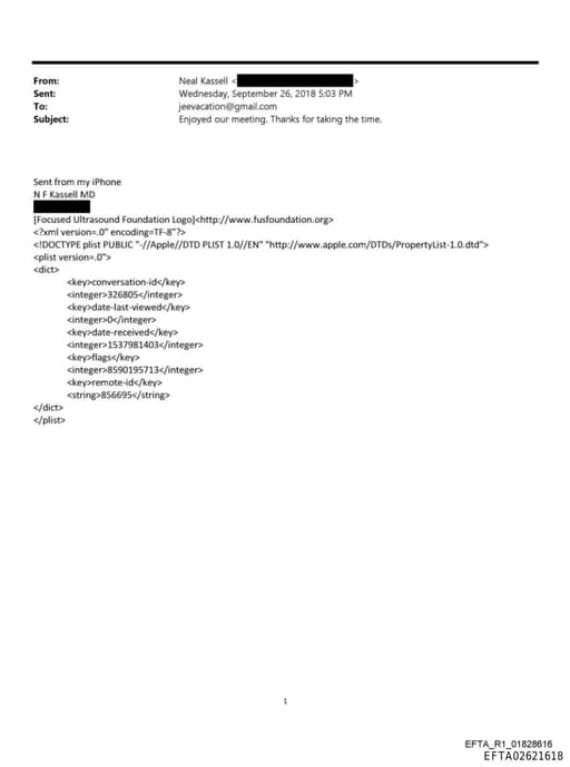 Preview of EFTA02621618