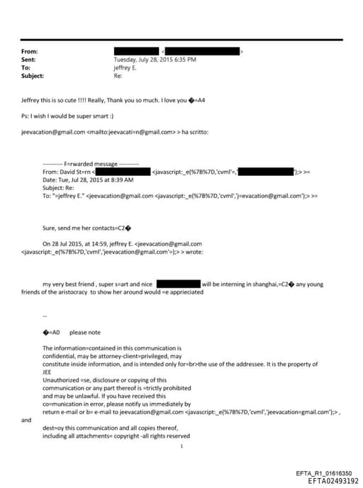 Preview of EFTA02493192