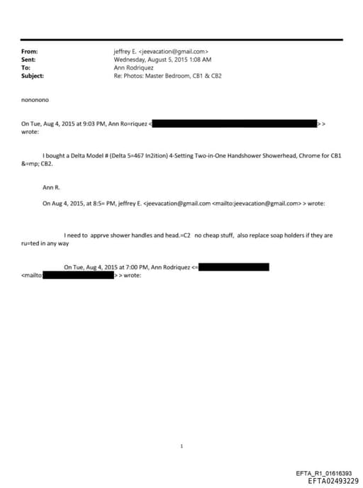 Preview of EFTA02493229