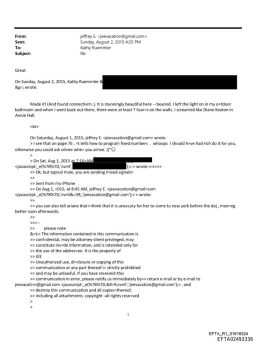 Preview of EFTA02493336