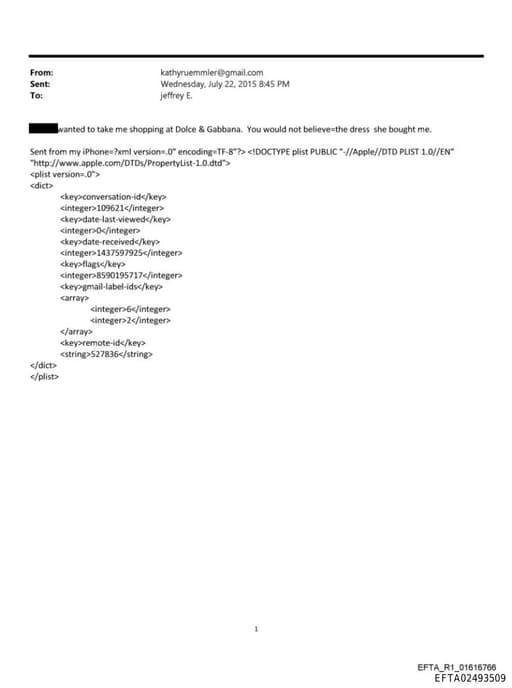 Preview of EFTA02493509