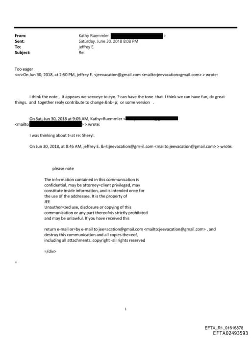 Preview of EFTA02493593