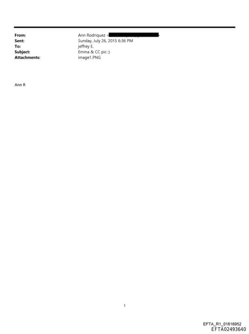 Preview of EFTA02493640