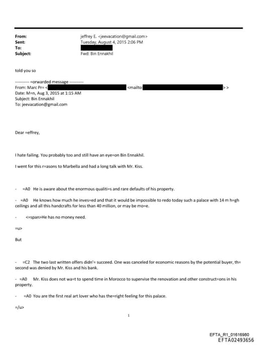 Preview of EFTA02493656