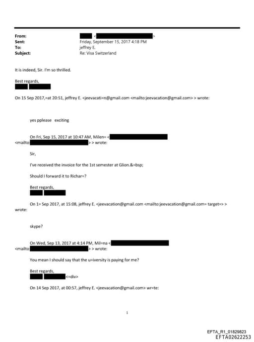 Preview of EFTA02622253