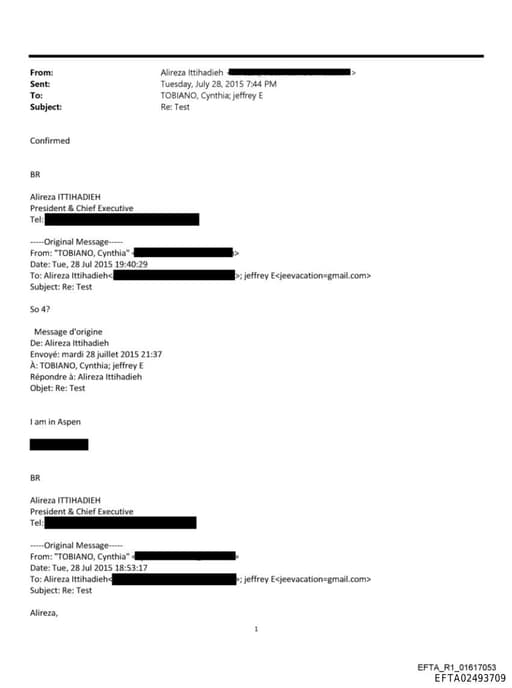 Preview of EFTA02493709