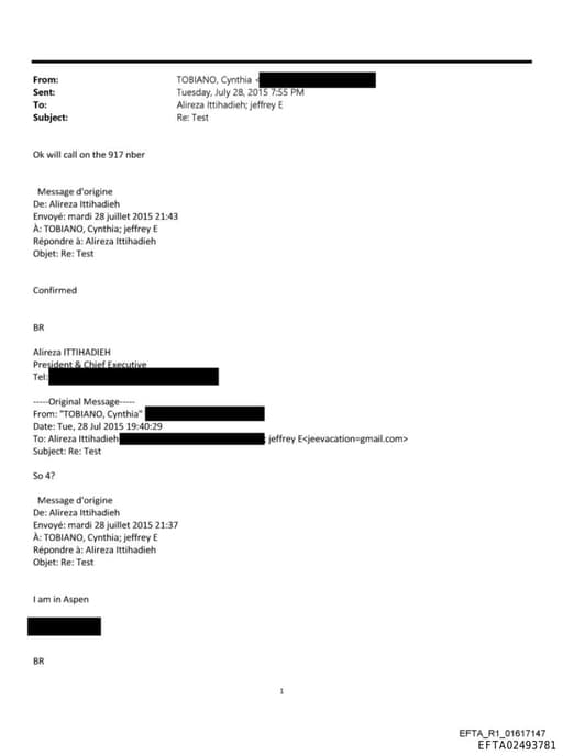 Preview of EFTA02493781