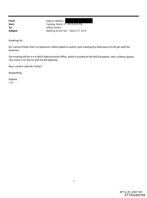 Preview of EFTA02493799