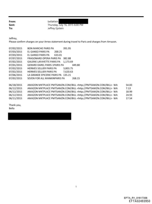 Preview of EFTA02493950