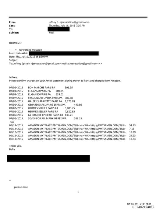 Preview of EFTA02494066