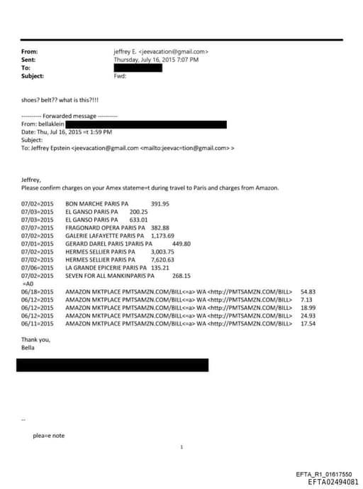 Preview of EFTA02494081