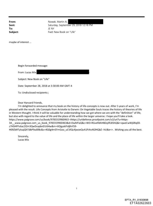 Preview of EFTA02622603