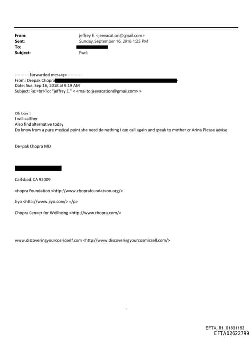 Preview of EFTA02622799