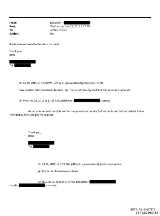 Preview of EFTA02494313