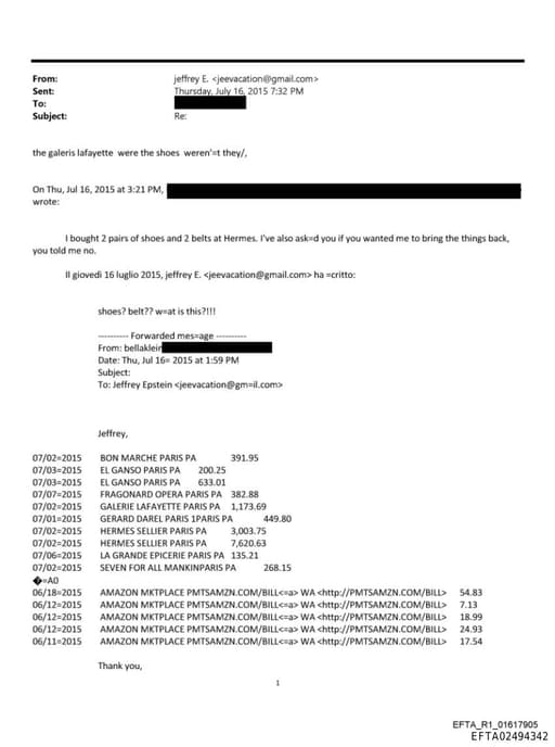 Preview of EFTA02494342