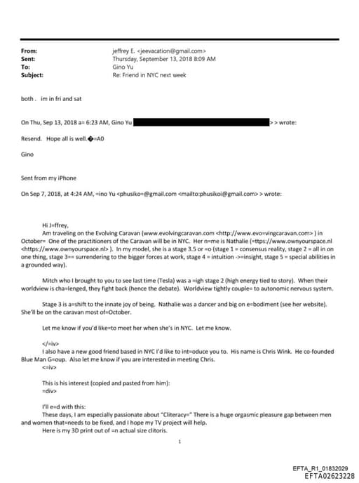 Preview of EFTA02623228