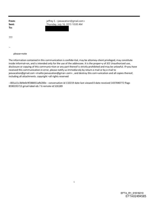 Preview of EFTA02494585