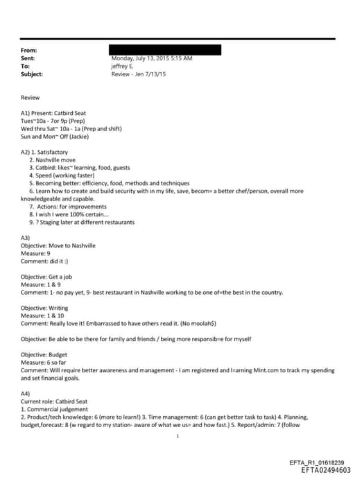 Preview of EFTA02494603