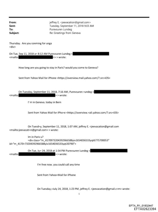 Preview of EFTA02623394