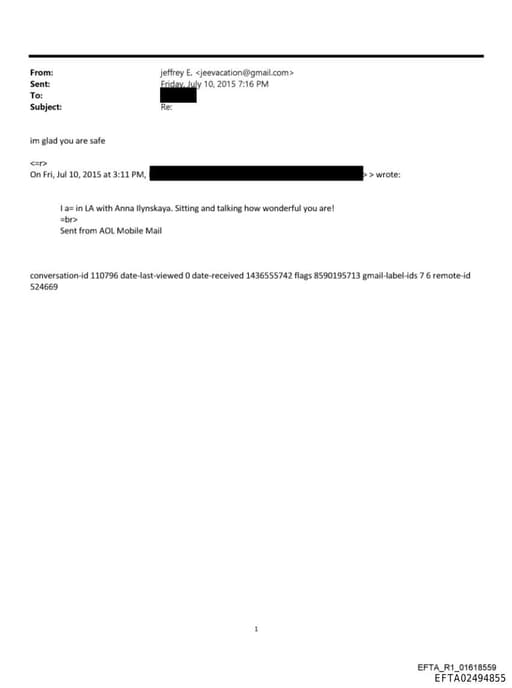 Preview of EFTA02494855