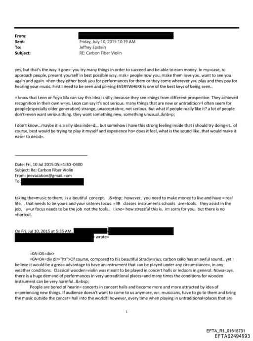 Preview of EFTA02494993