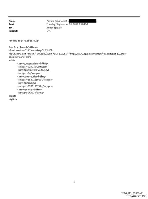 Preview of EFTA02623795