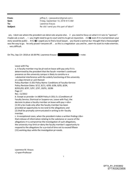 Preview of EFTA02623856