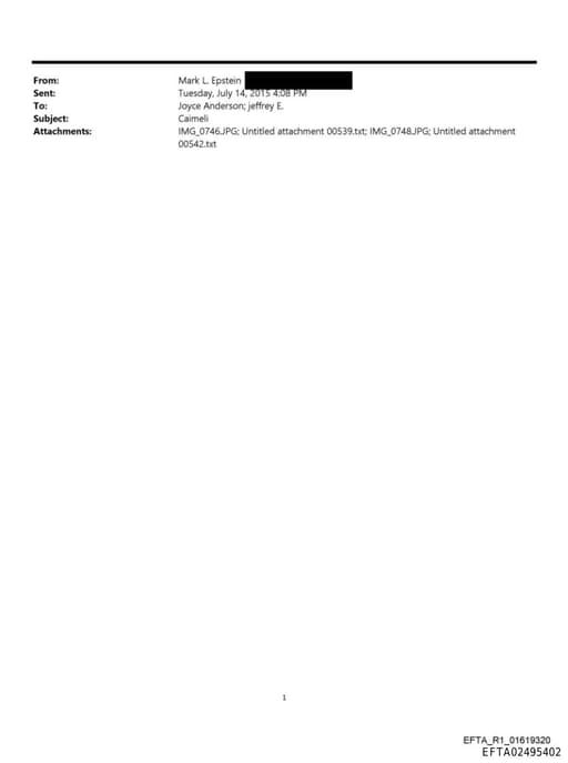 Preview of EFTA02495402