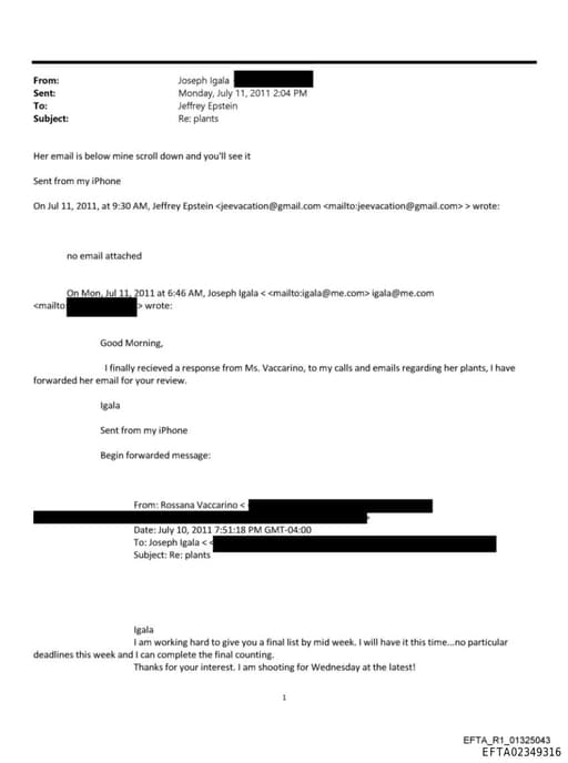 Preview of EFTA02349316