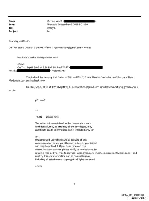 Preview of EFTA02624078