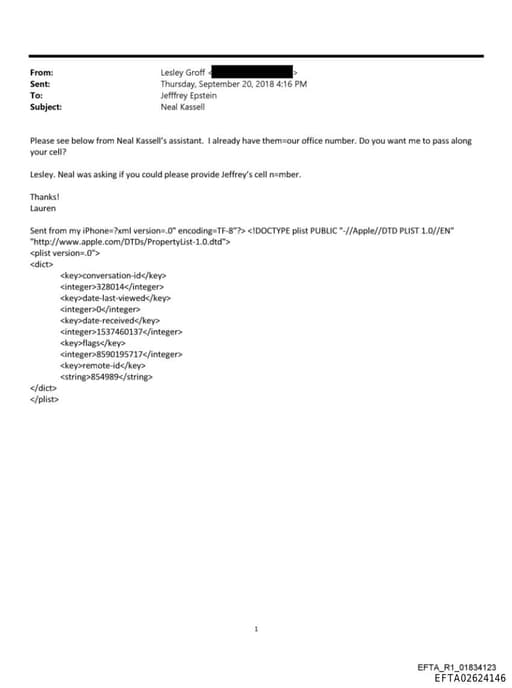 Preview of EFTA02624146