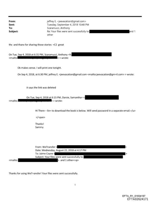 Preview of EFTA02624171