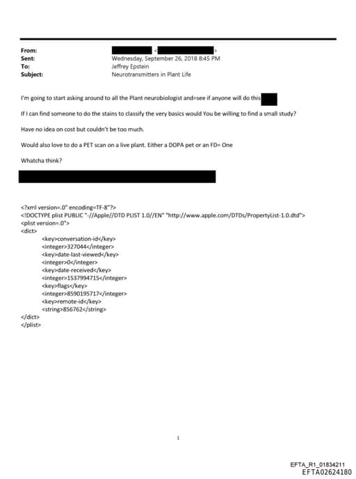 Preview of EFTA02624180