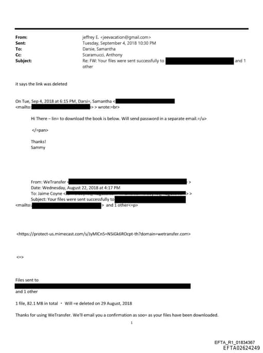 Preview of EFTA02624249